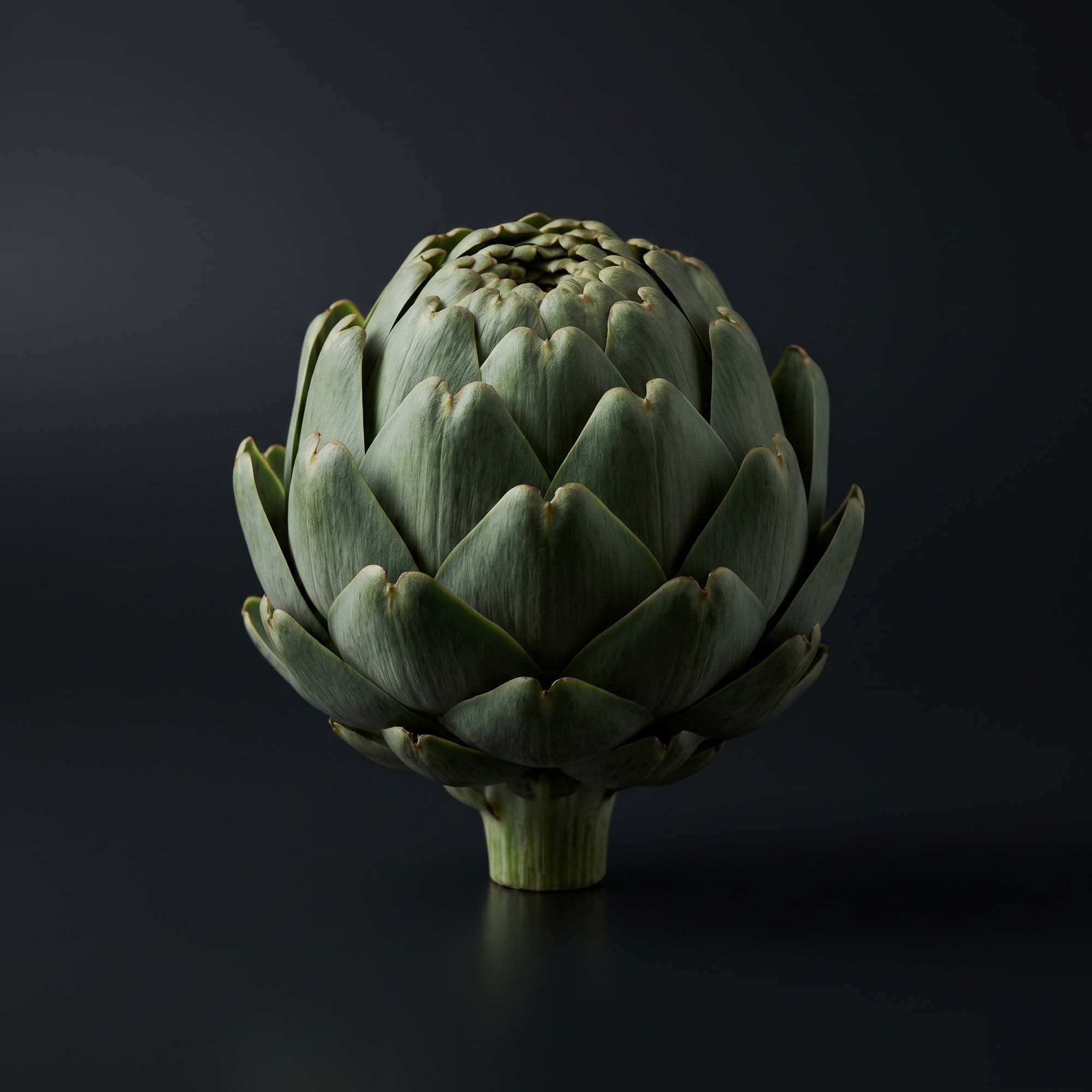Globe Artichoke — Cynara scolymus leaf · 50 mg| Men’s Cleanse Detox ingredient