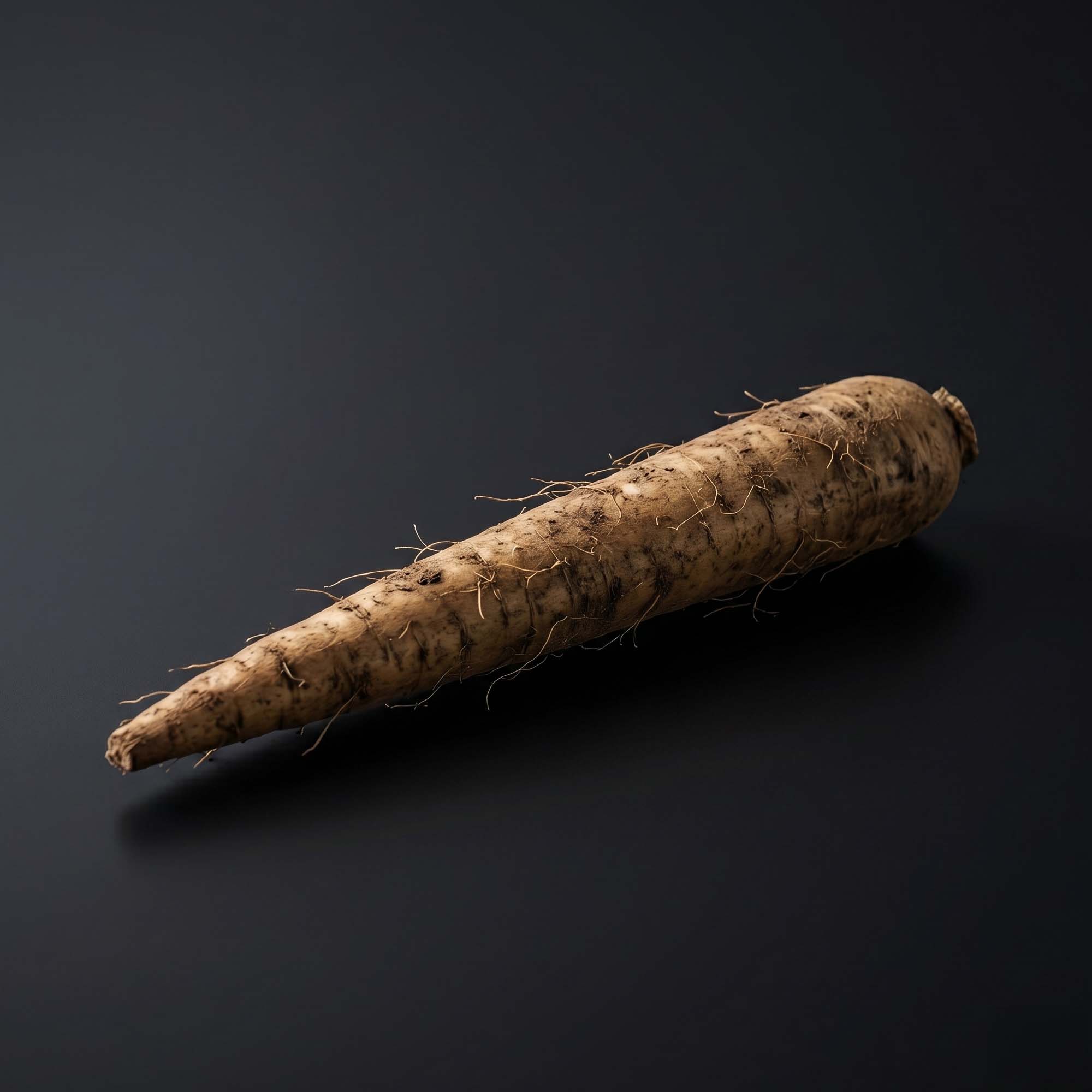 Burdock — Arctium lappa root · 120 mg| Men’s Cleanse Detox ingredient